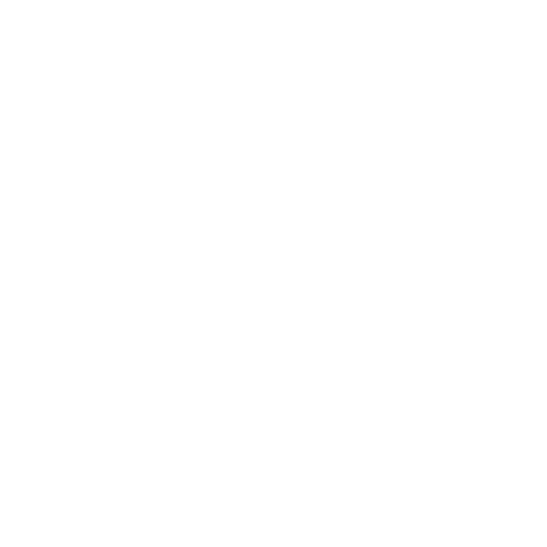 AMEX logo